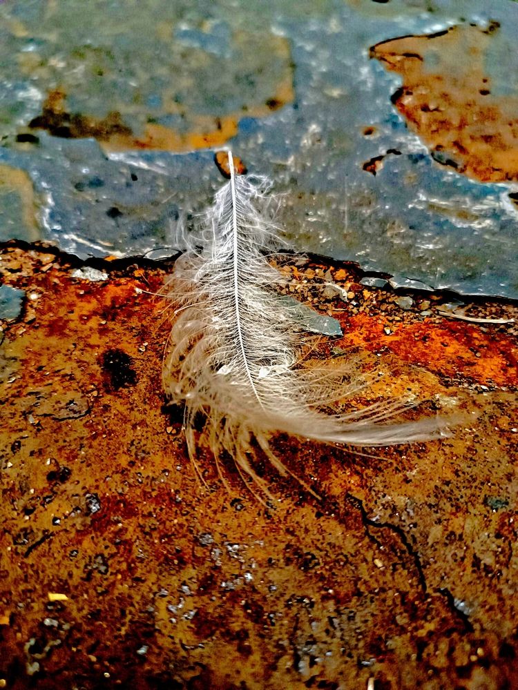 Photograph by Nikita Zorin