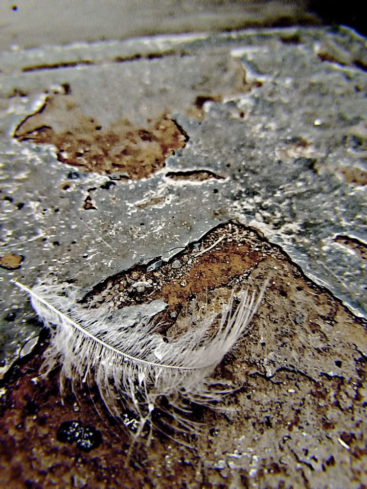 Photograph by Nikita Zorin