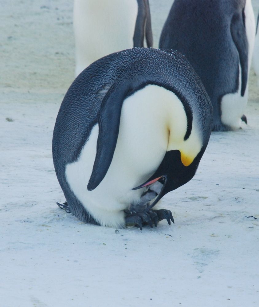 Photograph by Лев Синкин