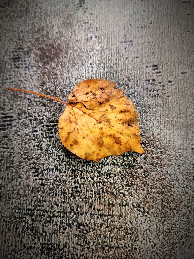 Photograph by Nikita Zorin