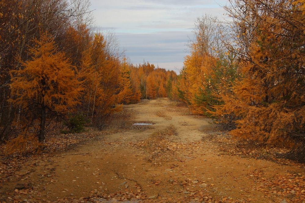 Photograph by Михаил Мархинин