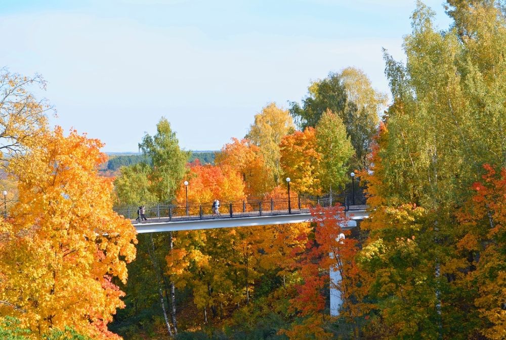 Photograph by София Бояринцева