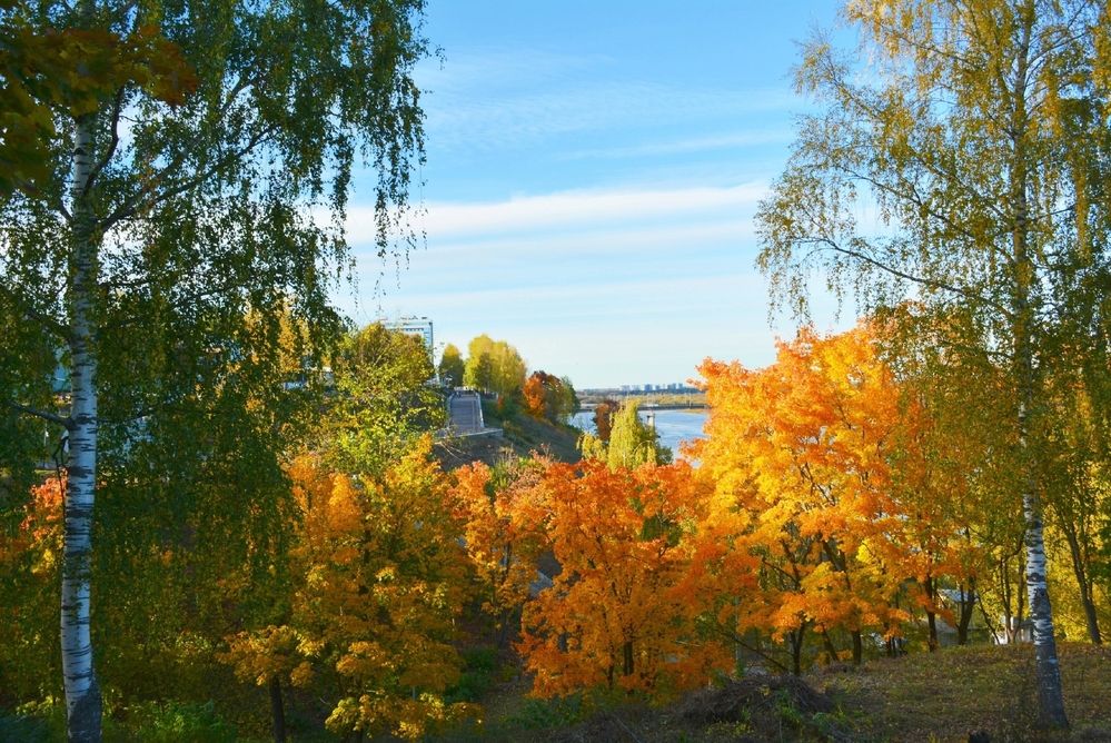 Photograph by София Бояринцева