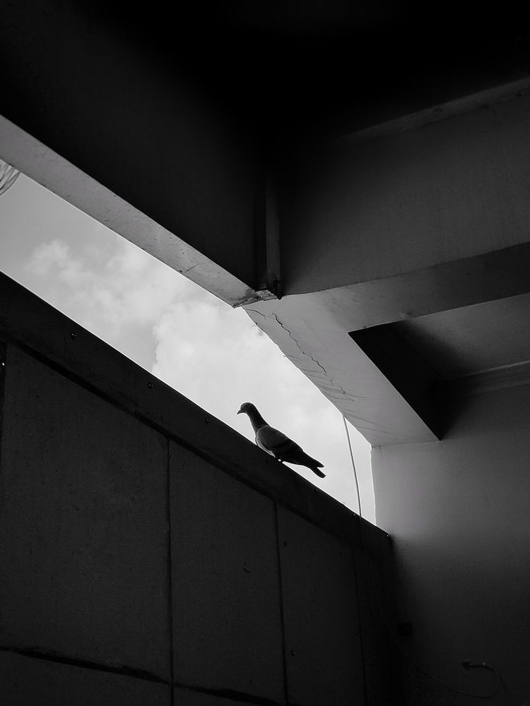 Photograph by Puru Raj