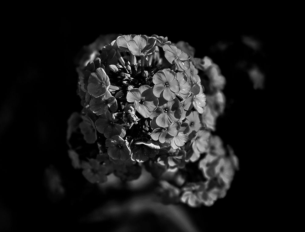 Photograph by Андрей Безгин