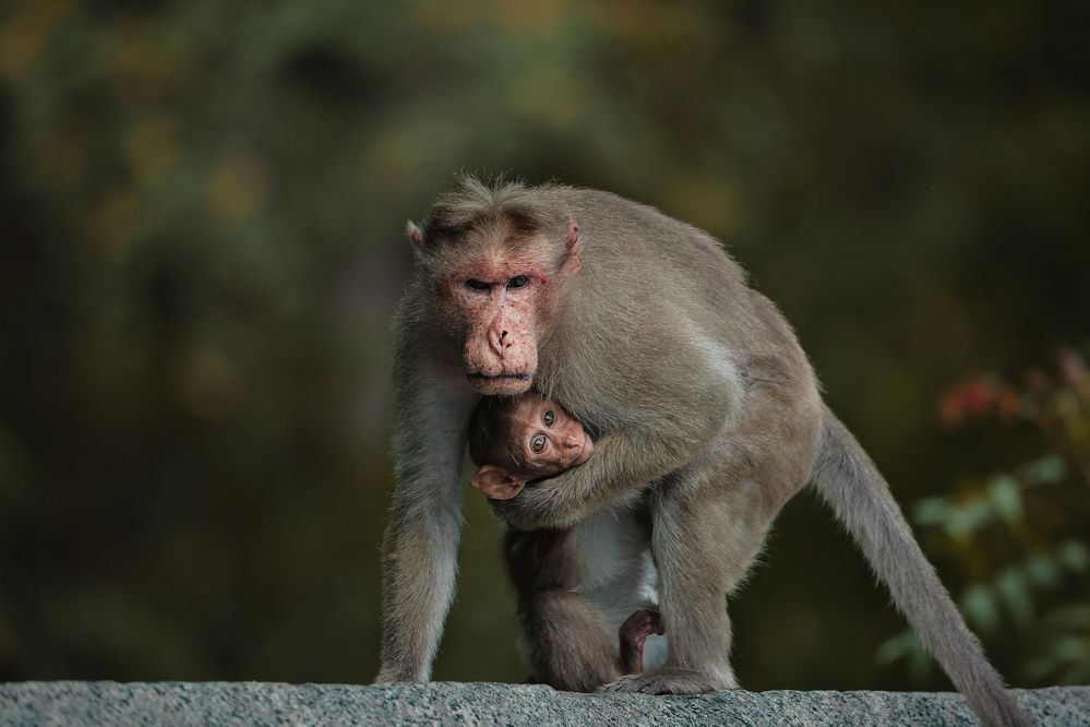 Photograph by Karunakaran Ramalingam