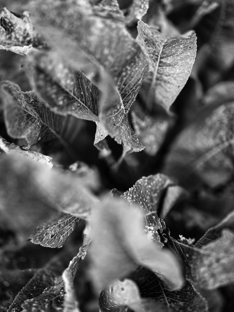 Photograph by Андрей Безгин