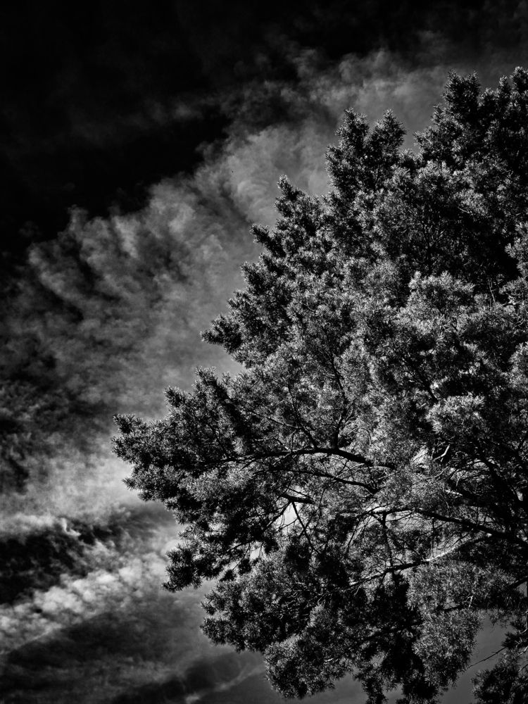 Photograph by Андрей Безгин