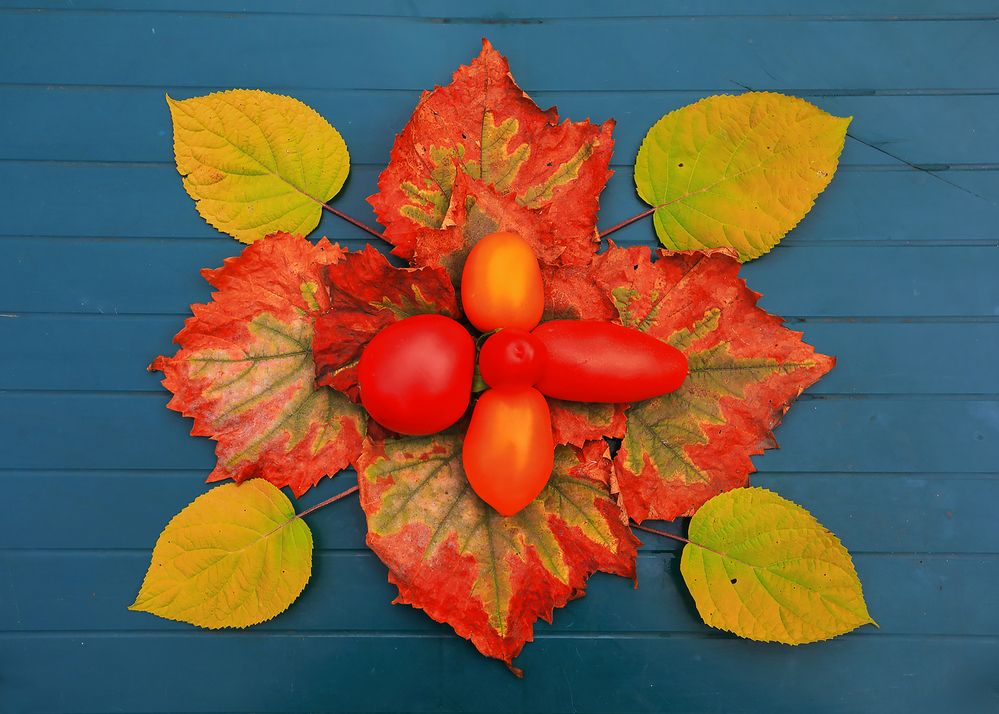 Photograph by Николай Протасеня