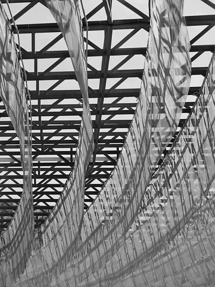 Фотография автора Владимир Ли