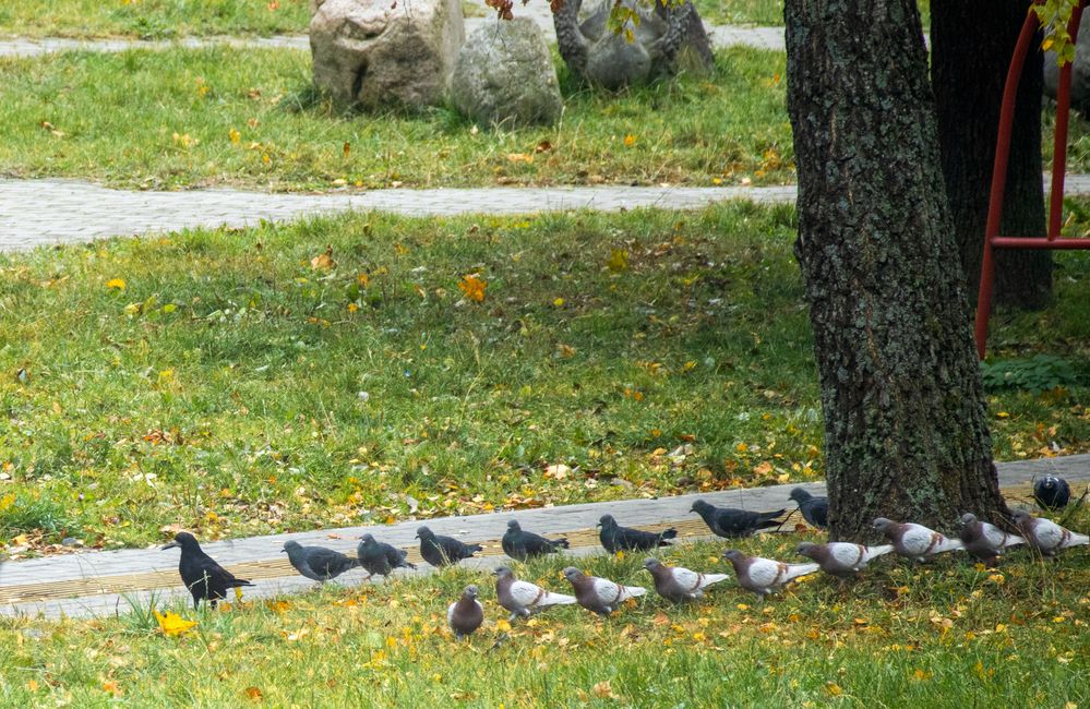 Фотография автора Денис Лещёв