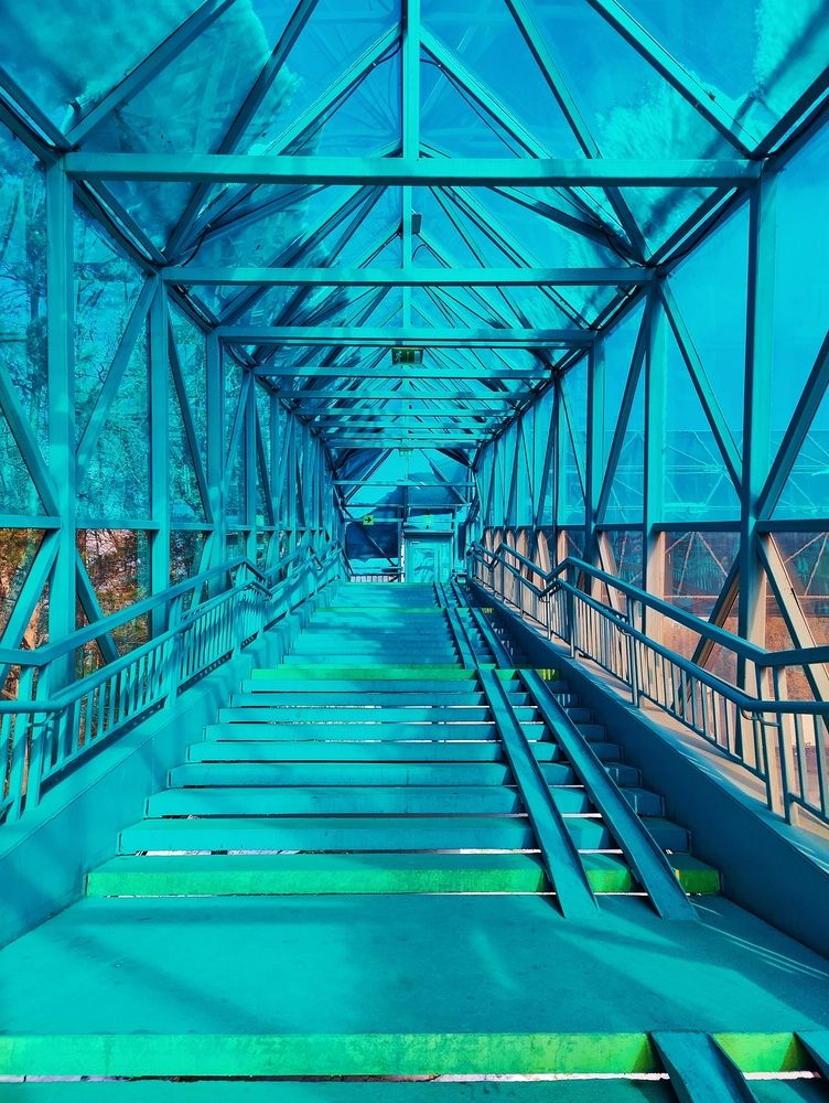 Photograph by Olena Chertous