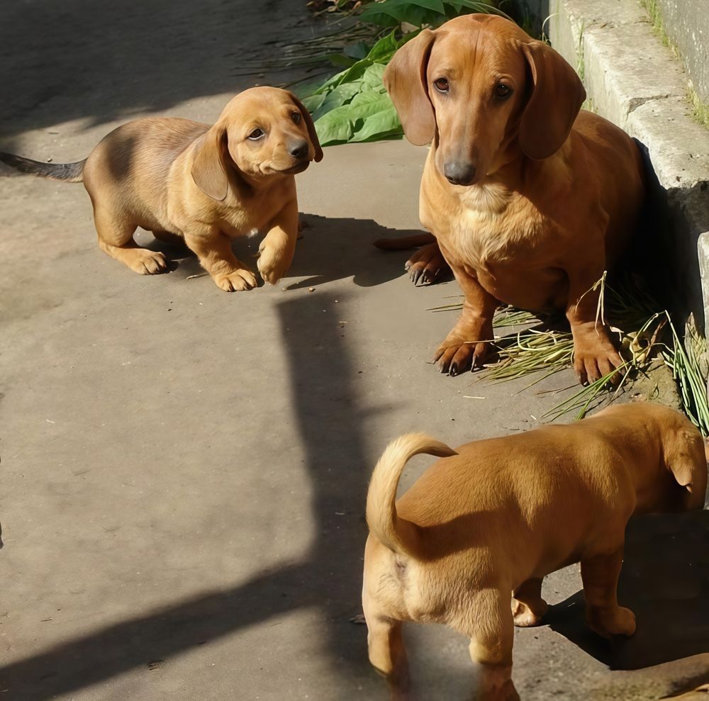 Photograph by Елена Сухорученкова