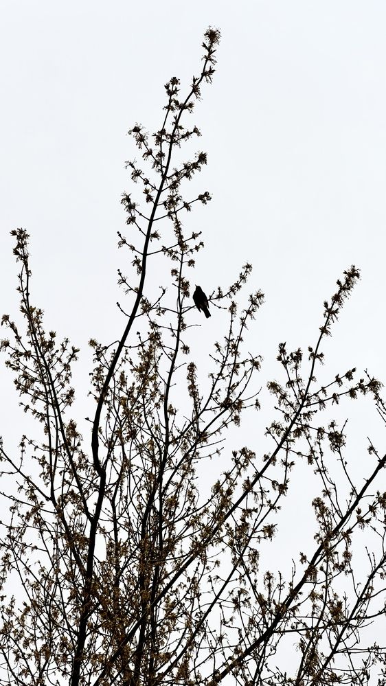 Photograph by Ирина Толстых