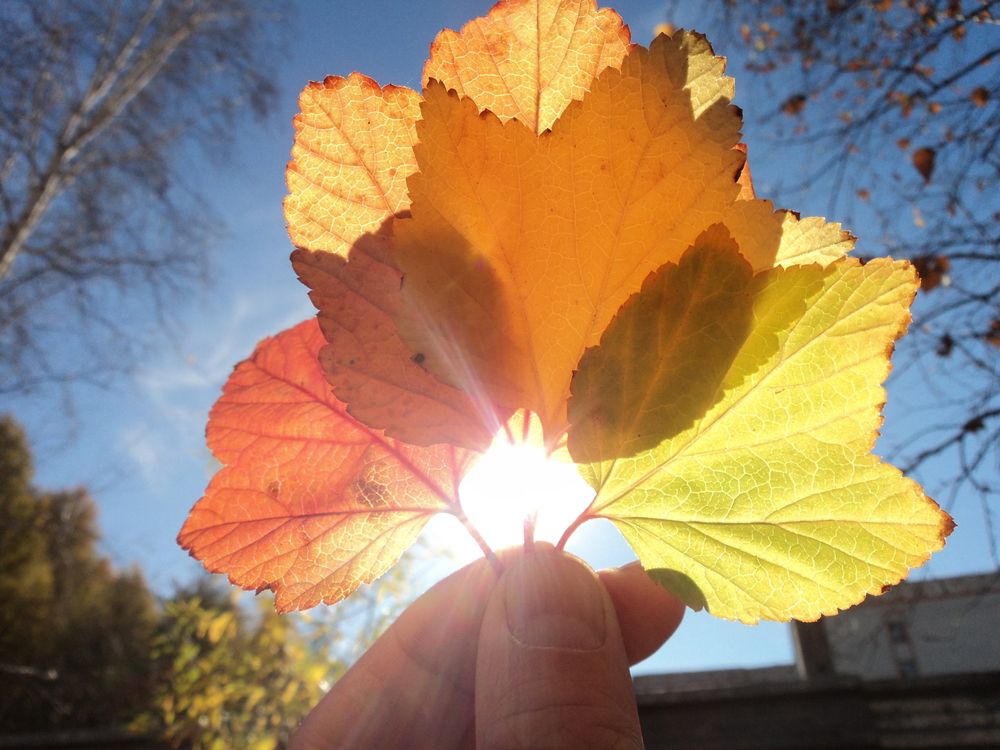 Photograph by Михаил Мархинин