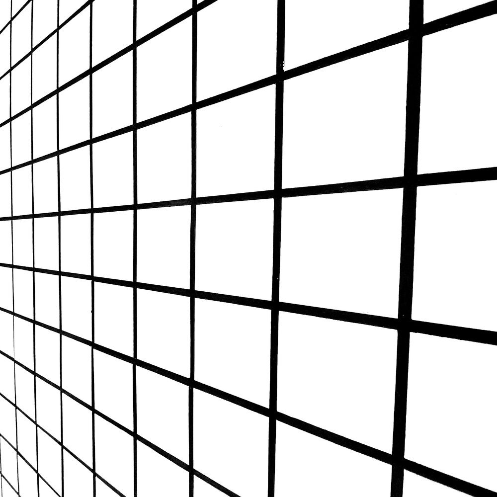 Photograph by Maria da Conceição Queiroz