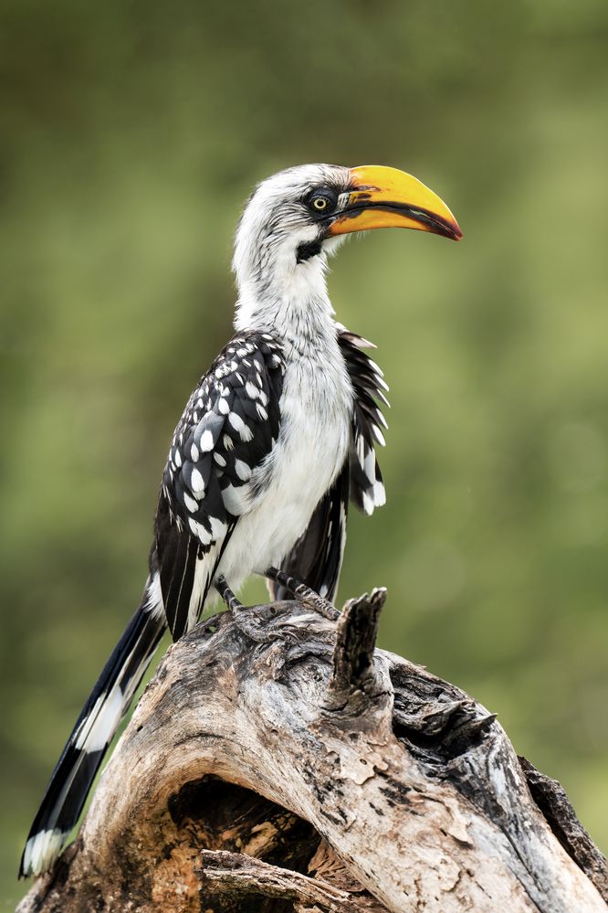 Photograph by Ruzhdi Ibrahimi