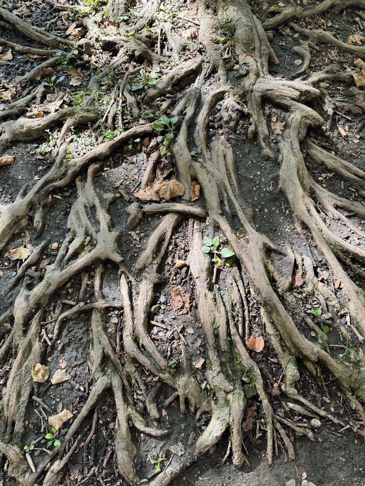 Photograph by Елена Смирнова