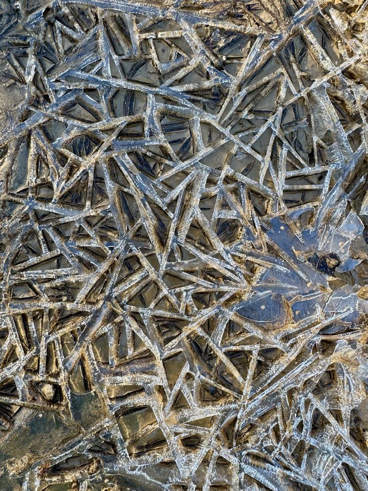 Photograph by Елена Смирнова