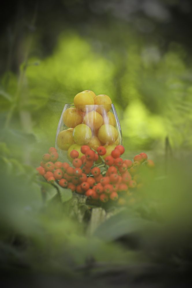 Photograph by Мария Лавриненко