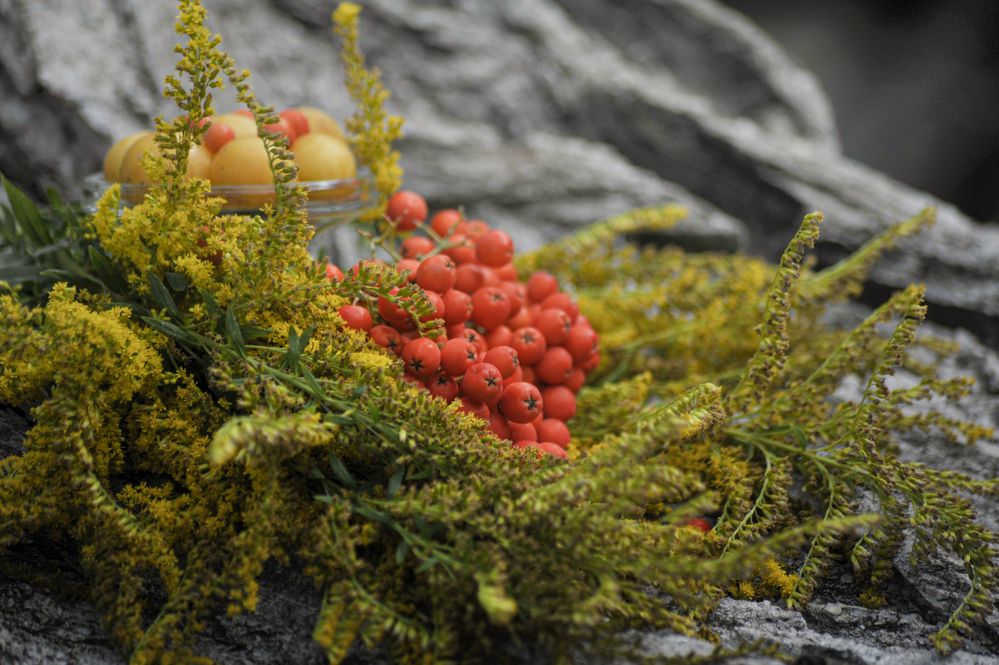 Photograph by Мария Лавриненко