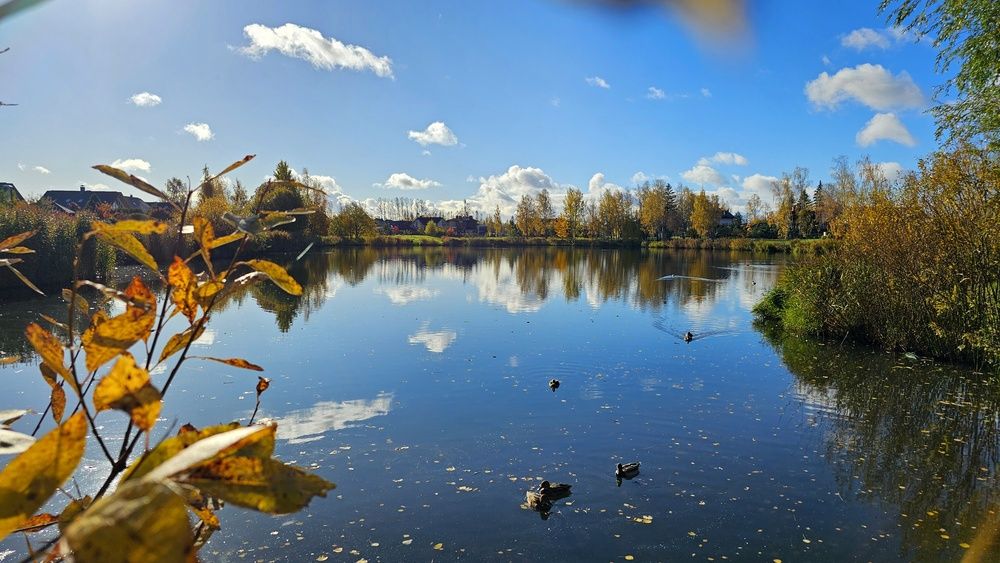 Photograph by Галина Левина