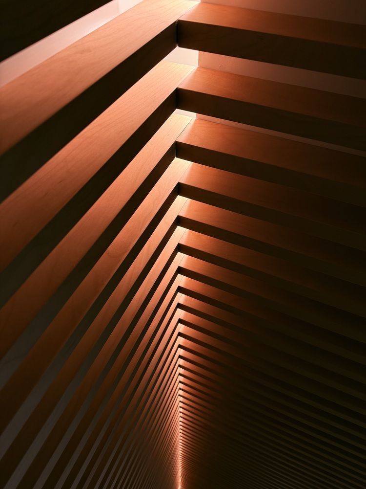 Photograph by Manish Rao