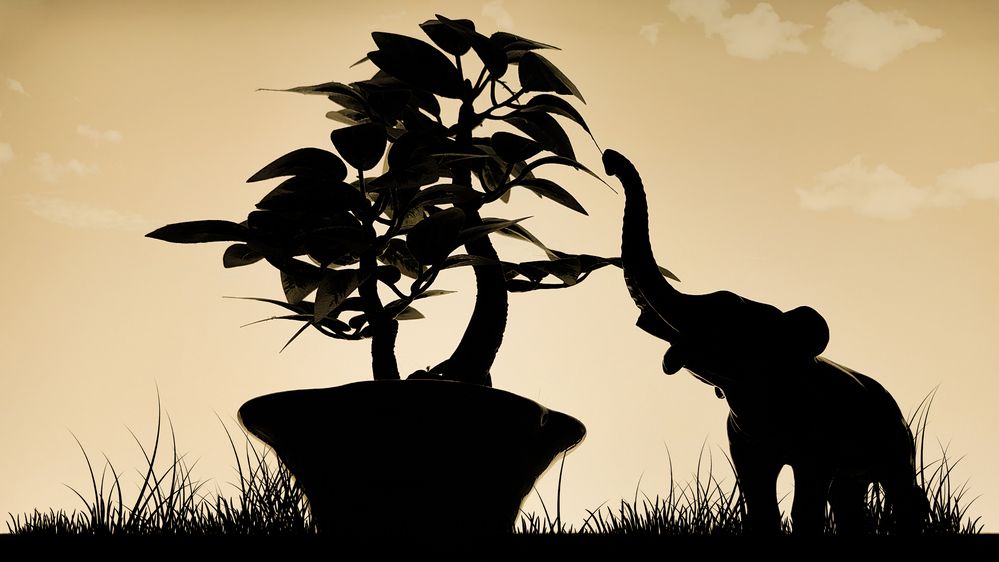 Photograph by Дмитрий Кочетков