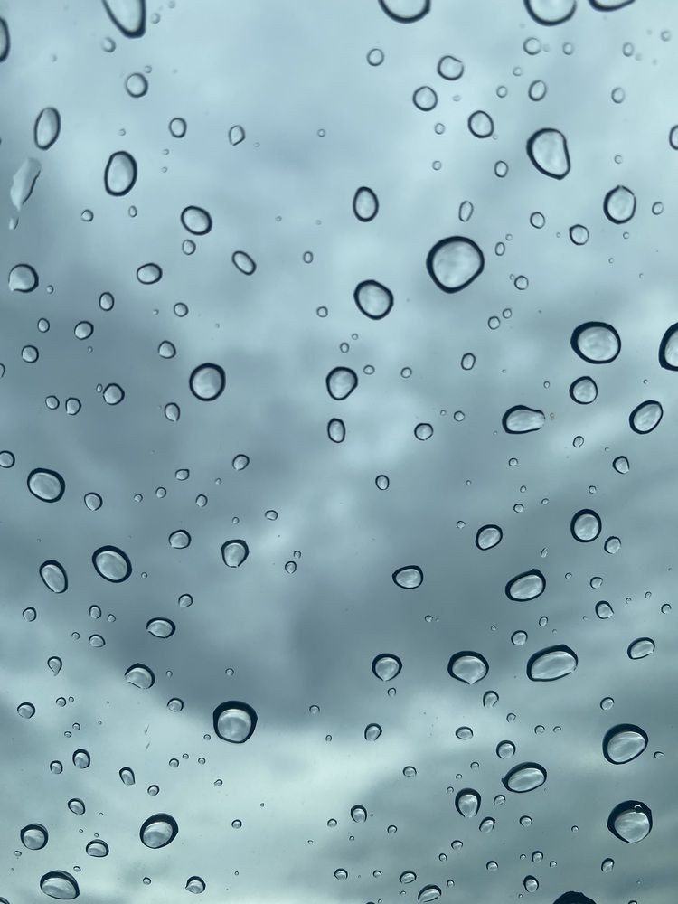 Фотография автора Orlando Silvio Silvera Hernández