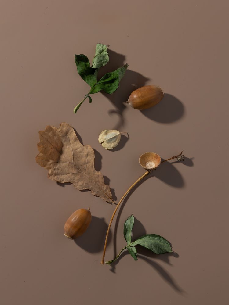 Photograph by Наталья Egoza