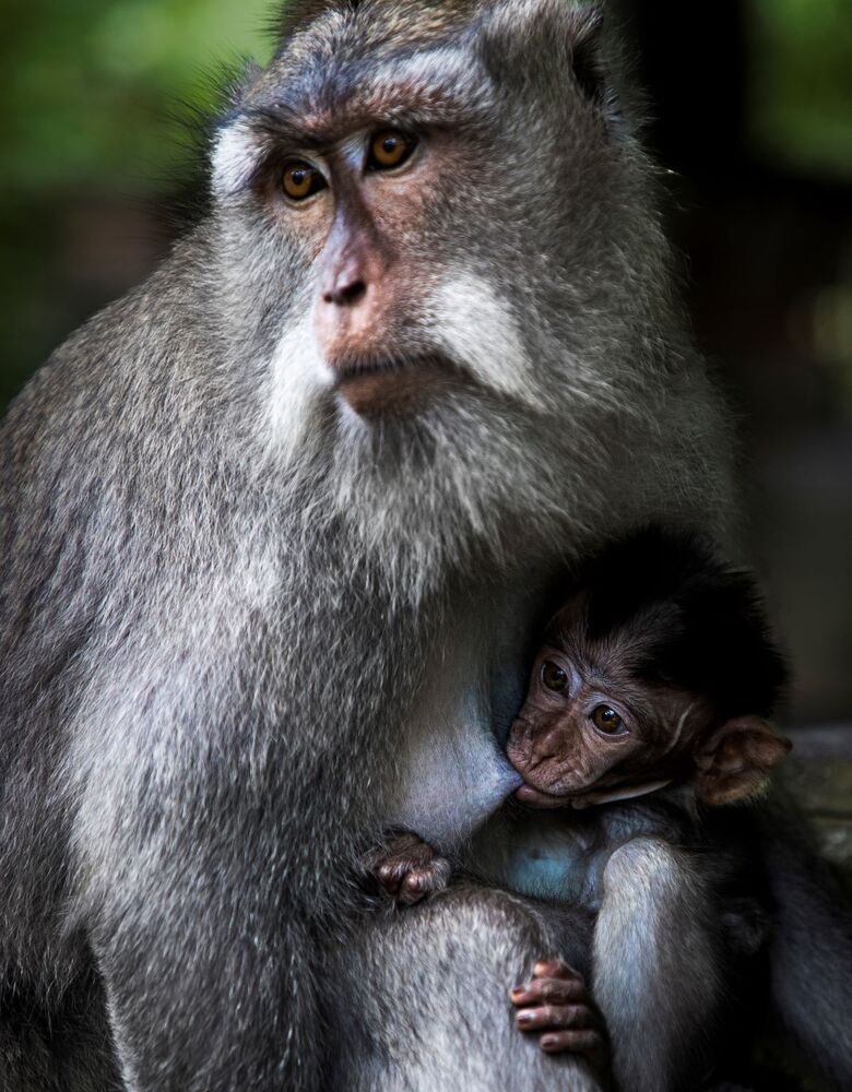 《  Liquid Comfort  》