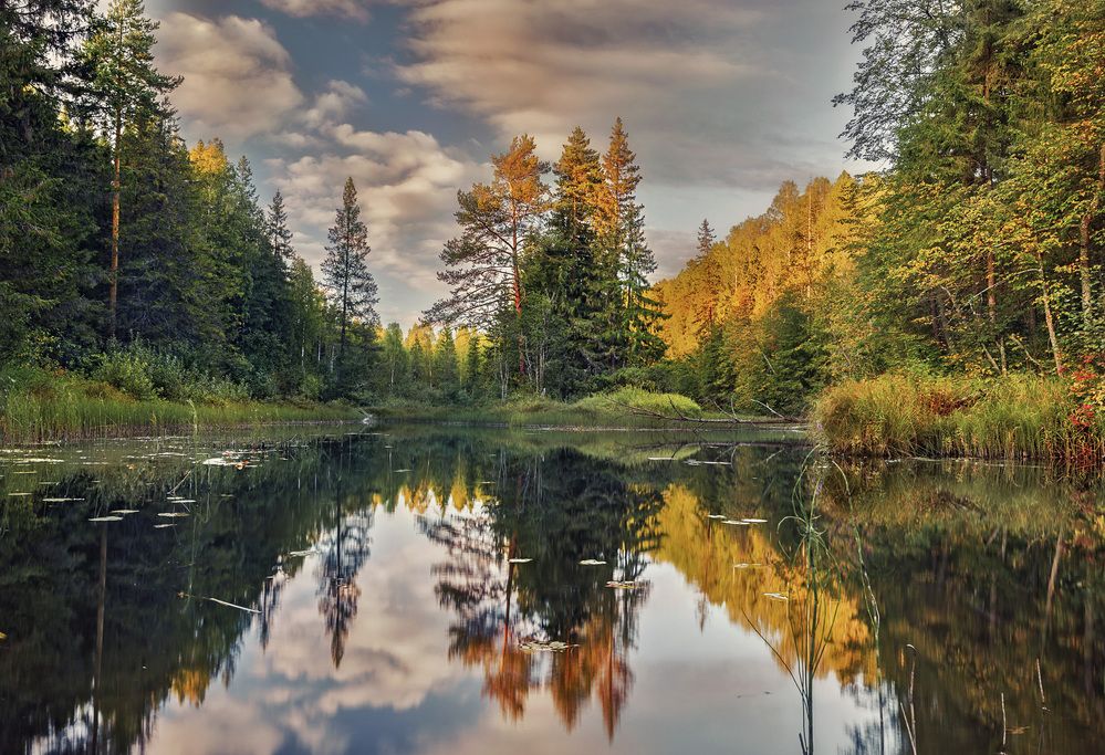 Photograph by Алексей Широбоков