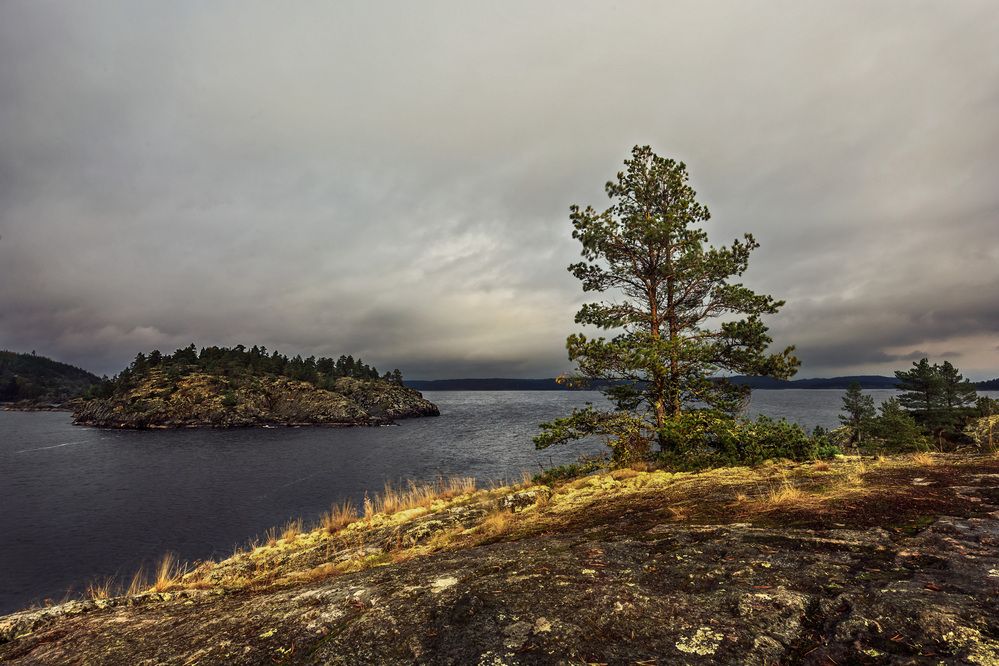 Photograph by Алексей Широбоков