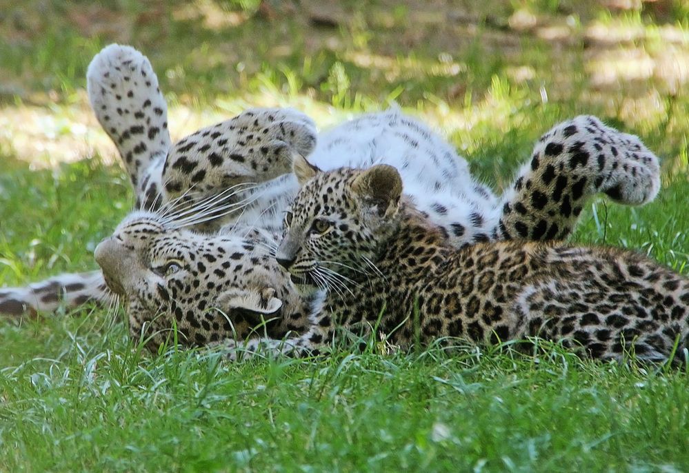 Фотография автора Александр
