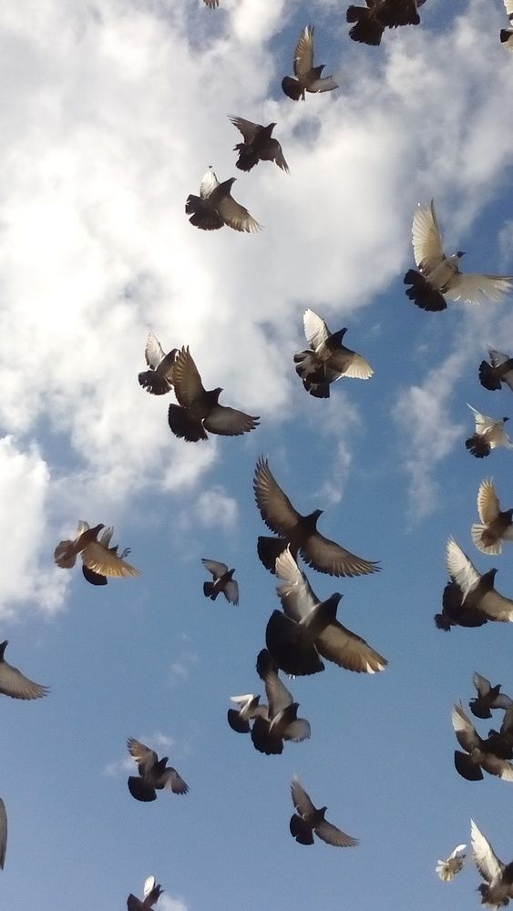 Photograph by Михаил Мархинин