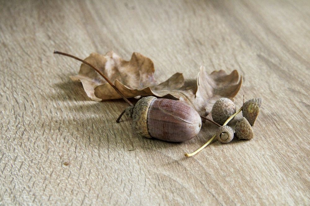 Фотография автора Владимир Ли