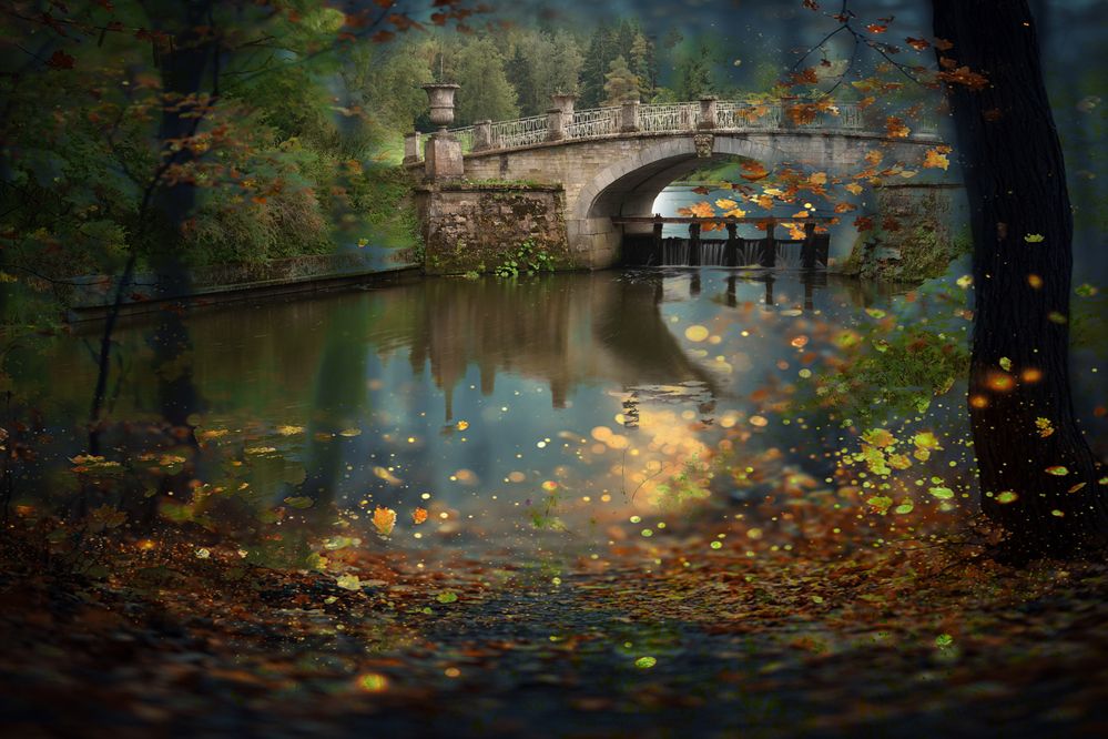 Photograph by Елена Суворова