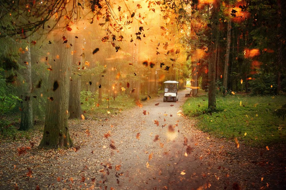 Photograph by Елена Суворова