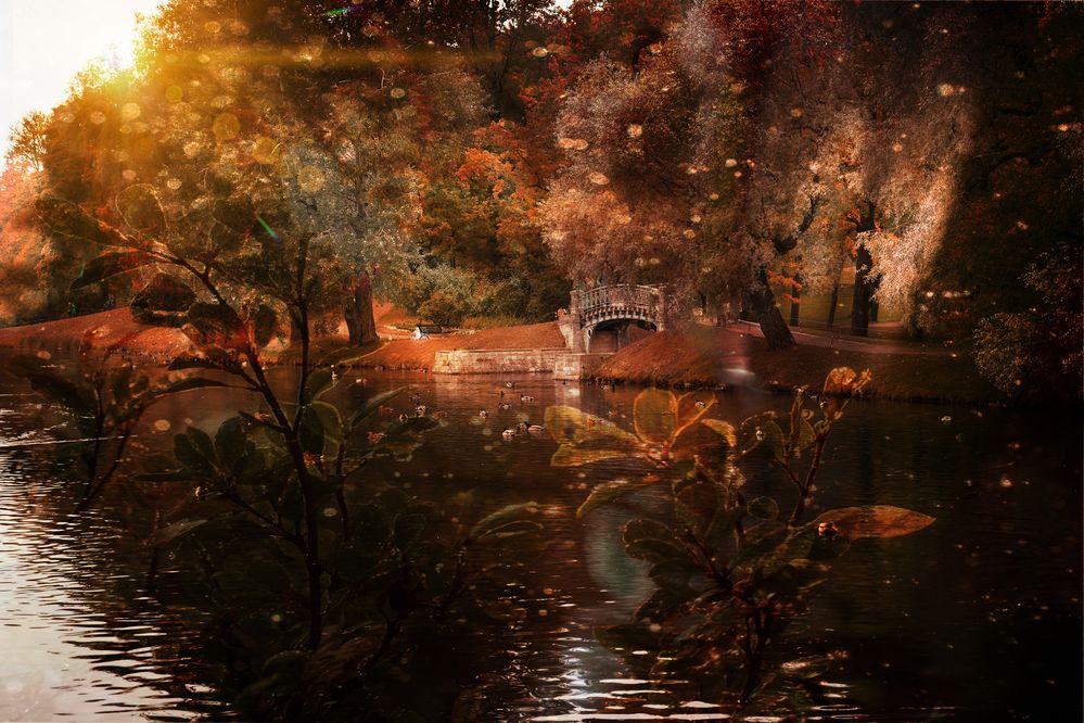 Photograph by Елена Суворова