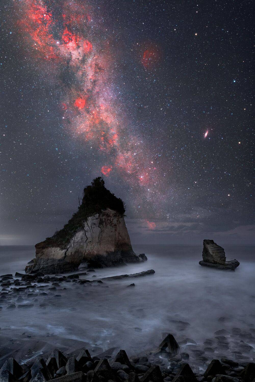 Фотография #12719313