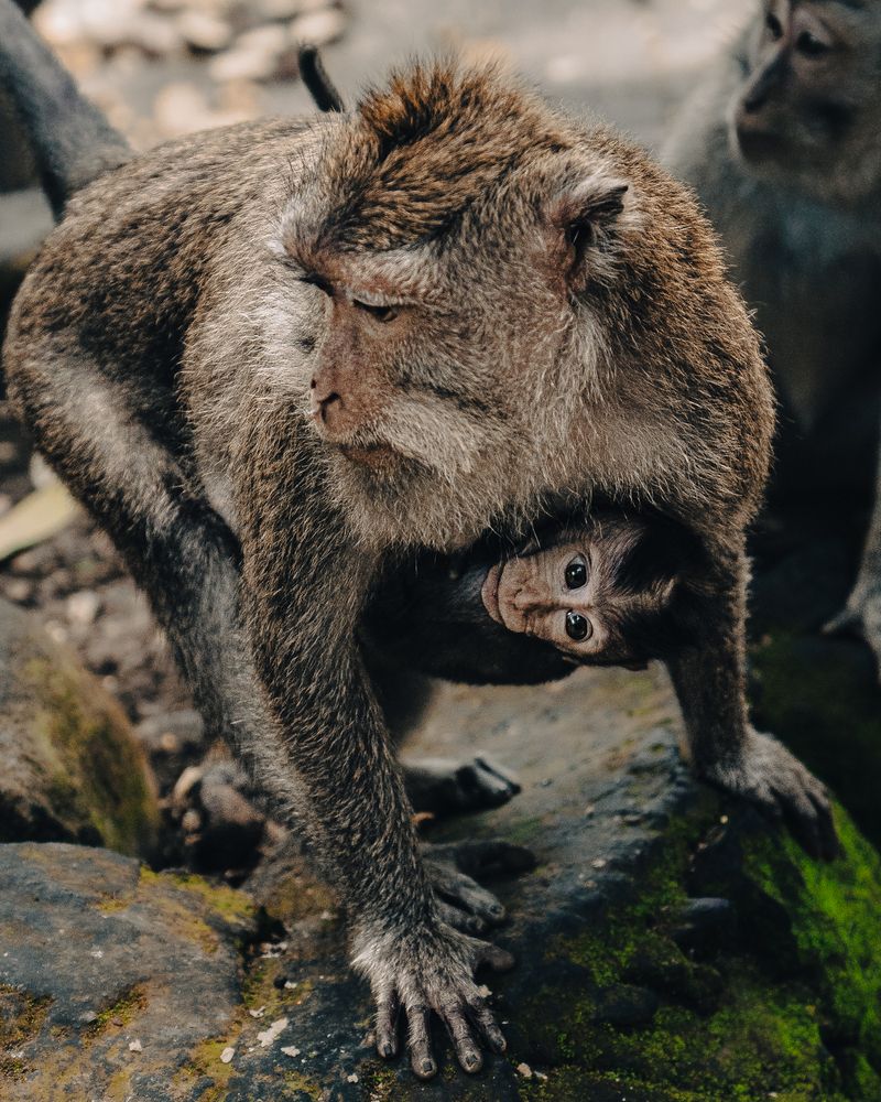 Фотография автора Daria Sinitsina