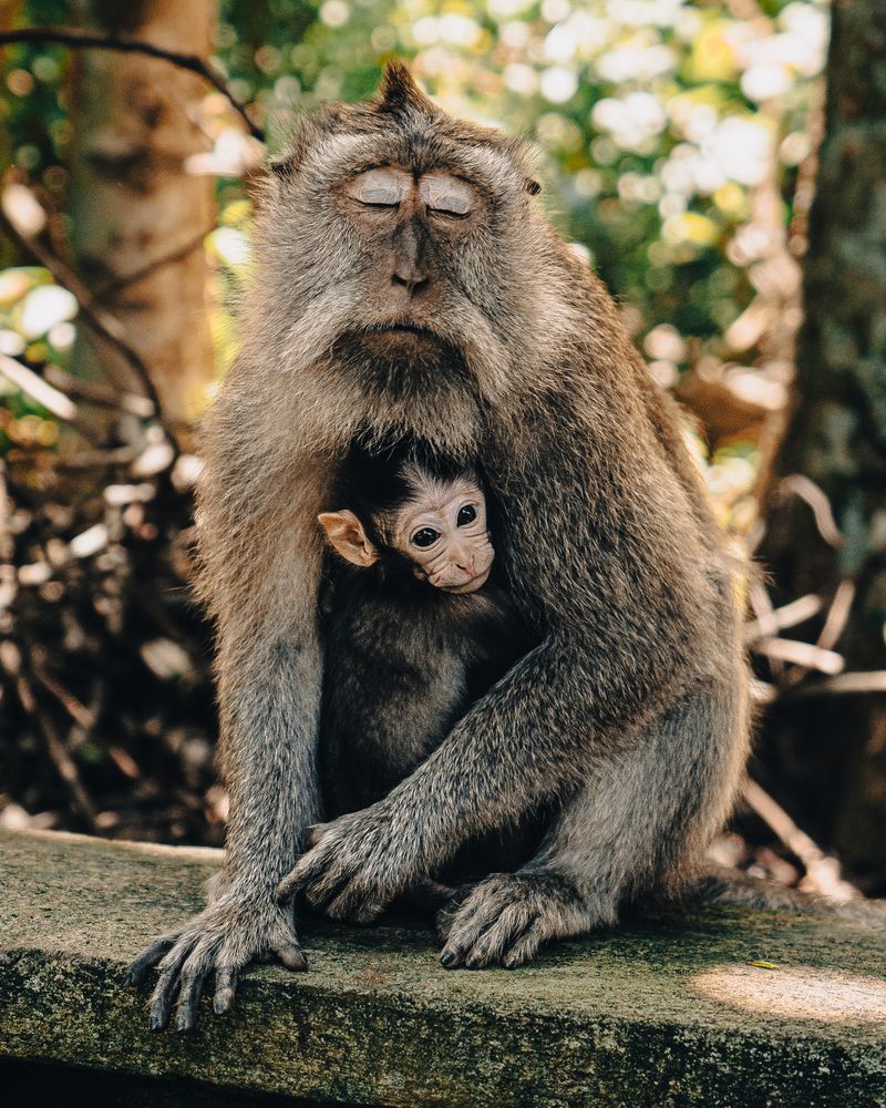 Фотография автора Daria Sinitsina