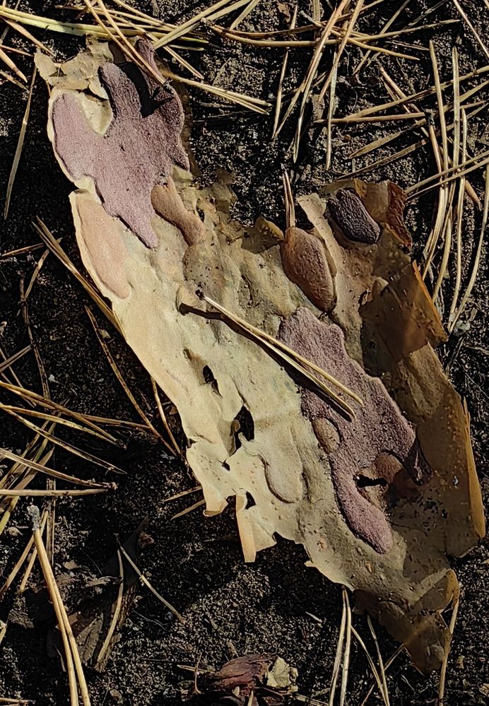 Photograph by Екатерина Исаева