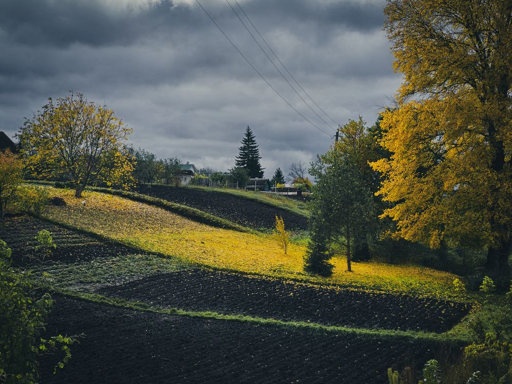 Photograph by Ирина Хлебникова