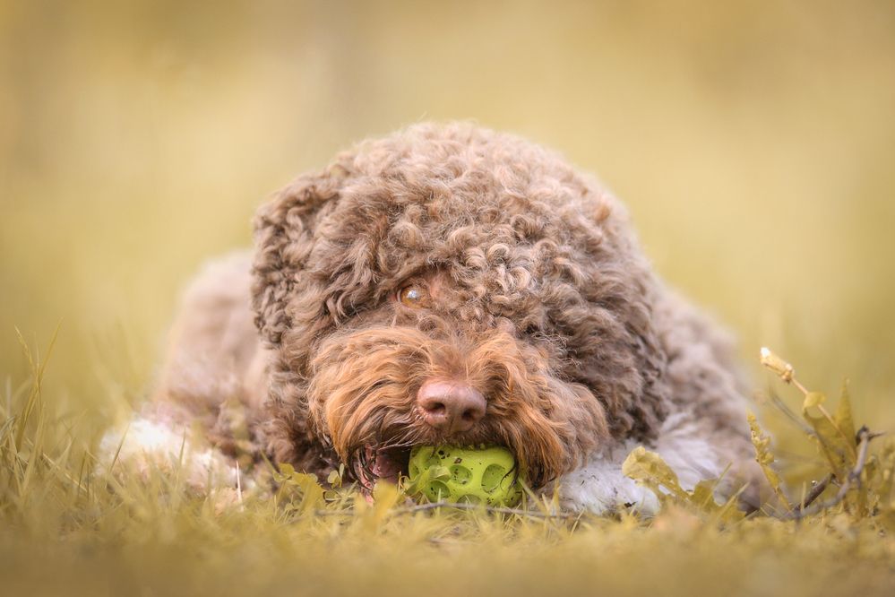 Photograph by Dmitry Ishniyazov