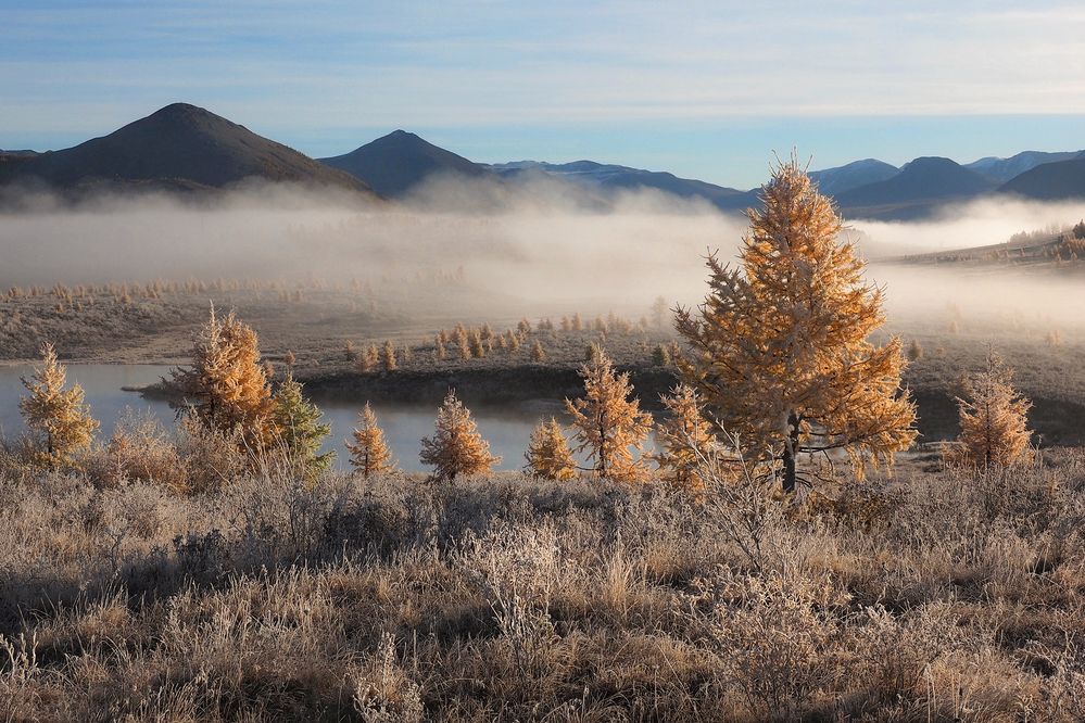 Photograph by Александр Попов