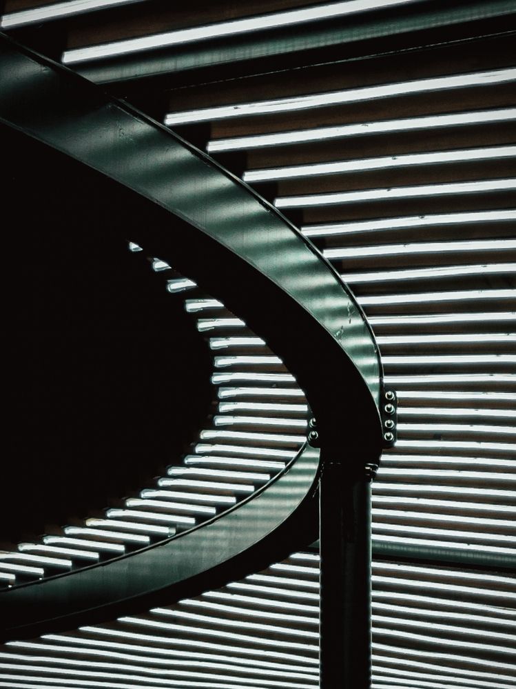 Photograph by Старк Ярослав