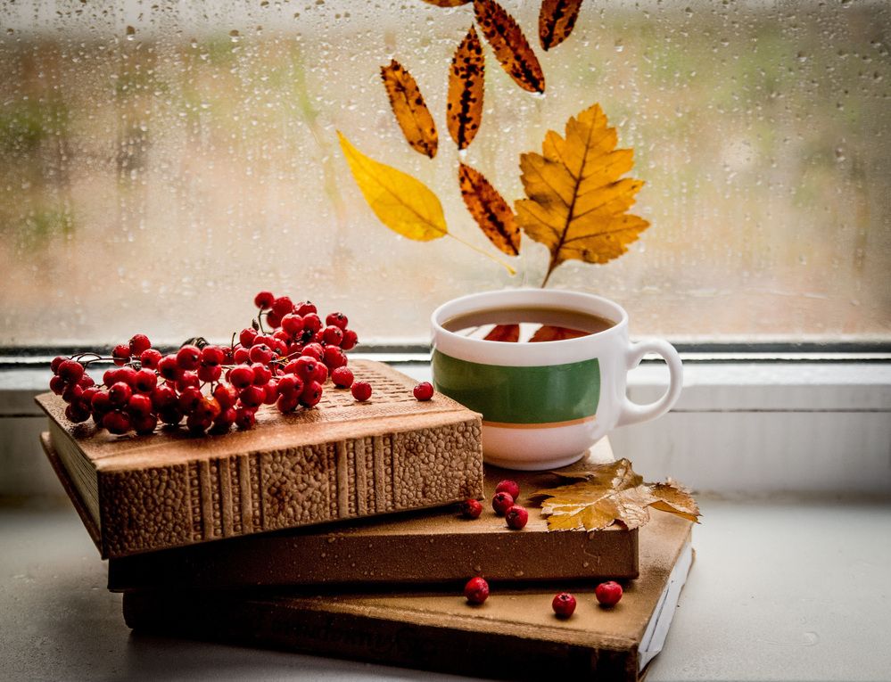 Photograph by Ольга Яскунова