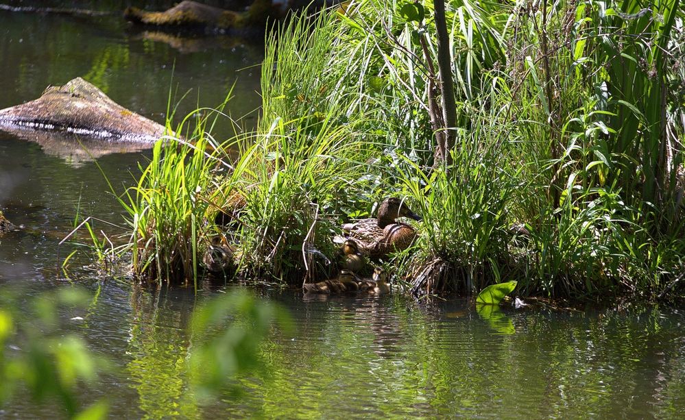 Photograph by Владимир Кулешов