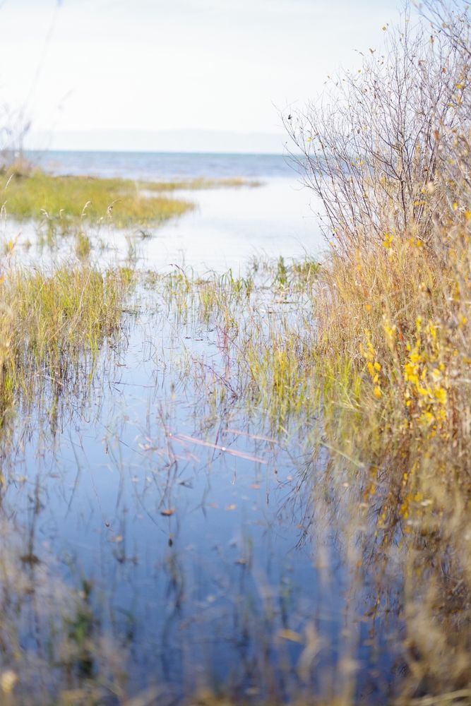 Photograph by Андрей Корытов